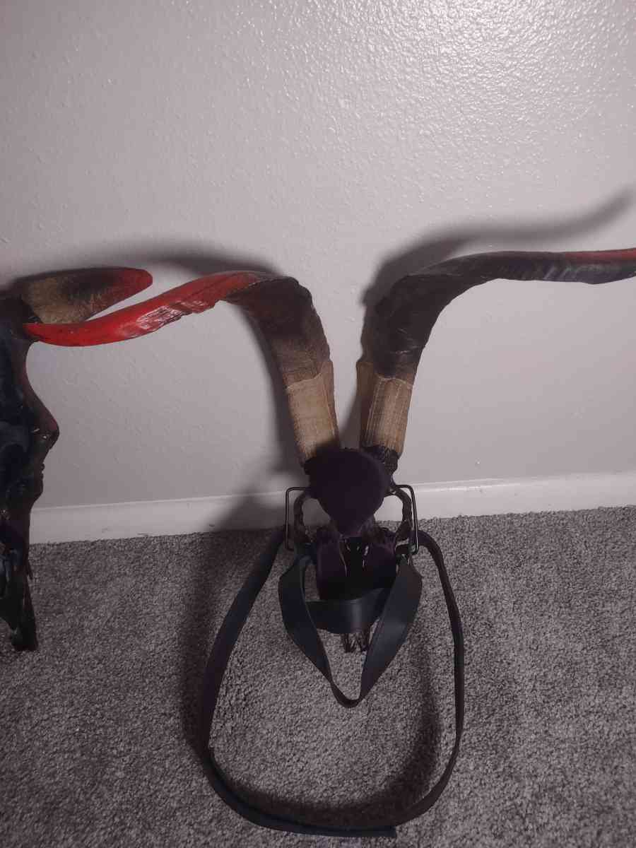 Painted Animal Skull Masks - Colorado Springs, Colorado - FleaMarketBay