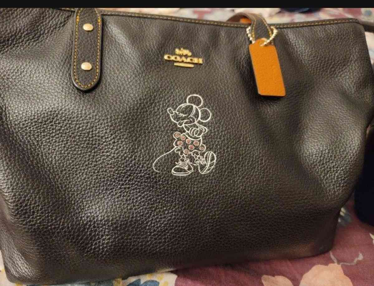 Minnie Mouse Coach Purse - Hudson, Florida - FleaMarketBay