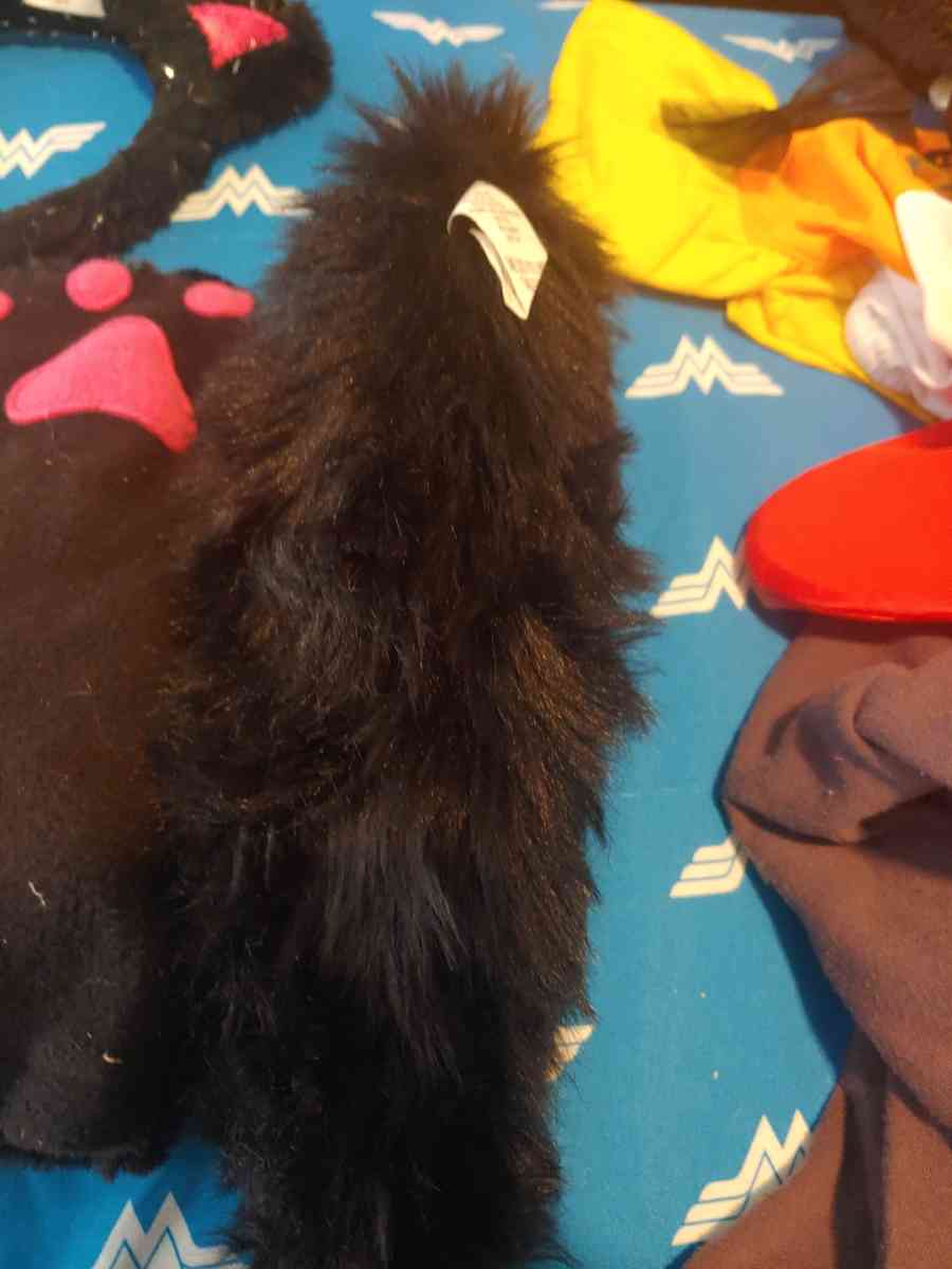 Cat custome - Commerce City, Colorado - FleaMarketBay