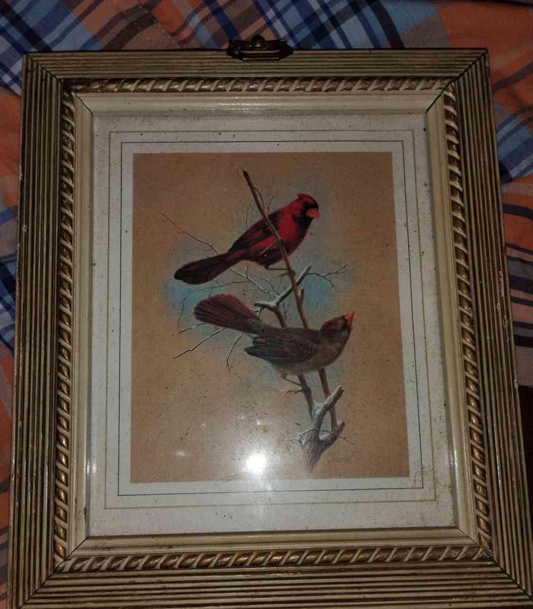 Frame Bird photo - Charlotte, North Carolina