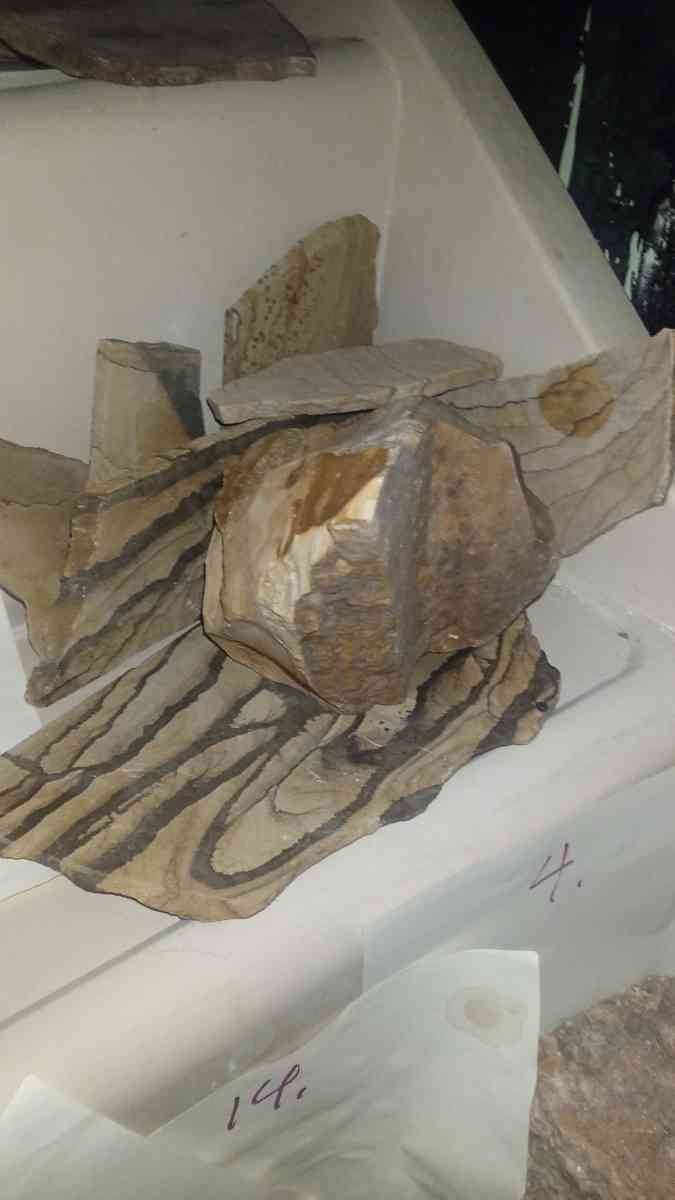 picture jasper beautiful elegant highly recommend - Deming, New Mexico - FleaMarketBay