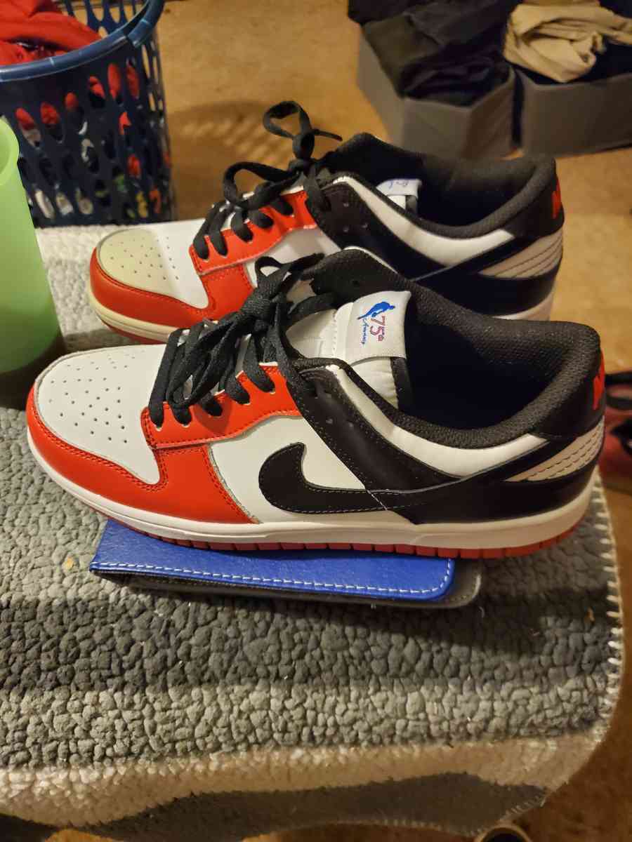 Nike dunks 75th anniversary tag sneakers - Chester, Virginia - FleaMarketBay