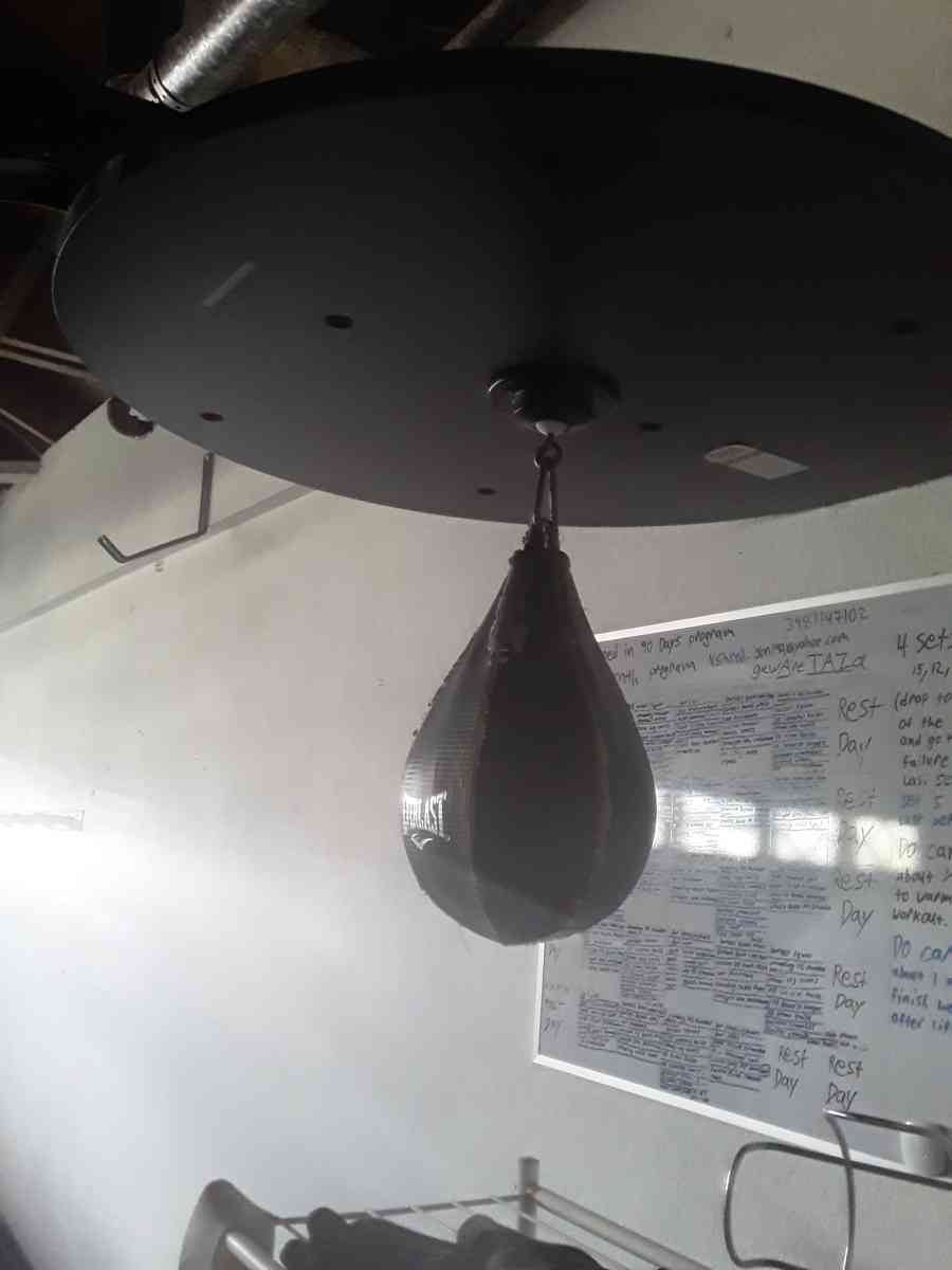 Everlast Punching Bag - La Puente, California - FleaMarketBay