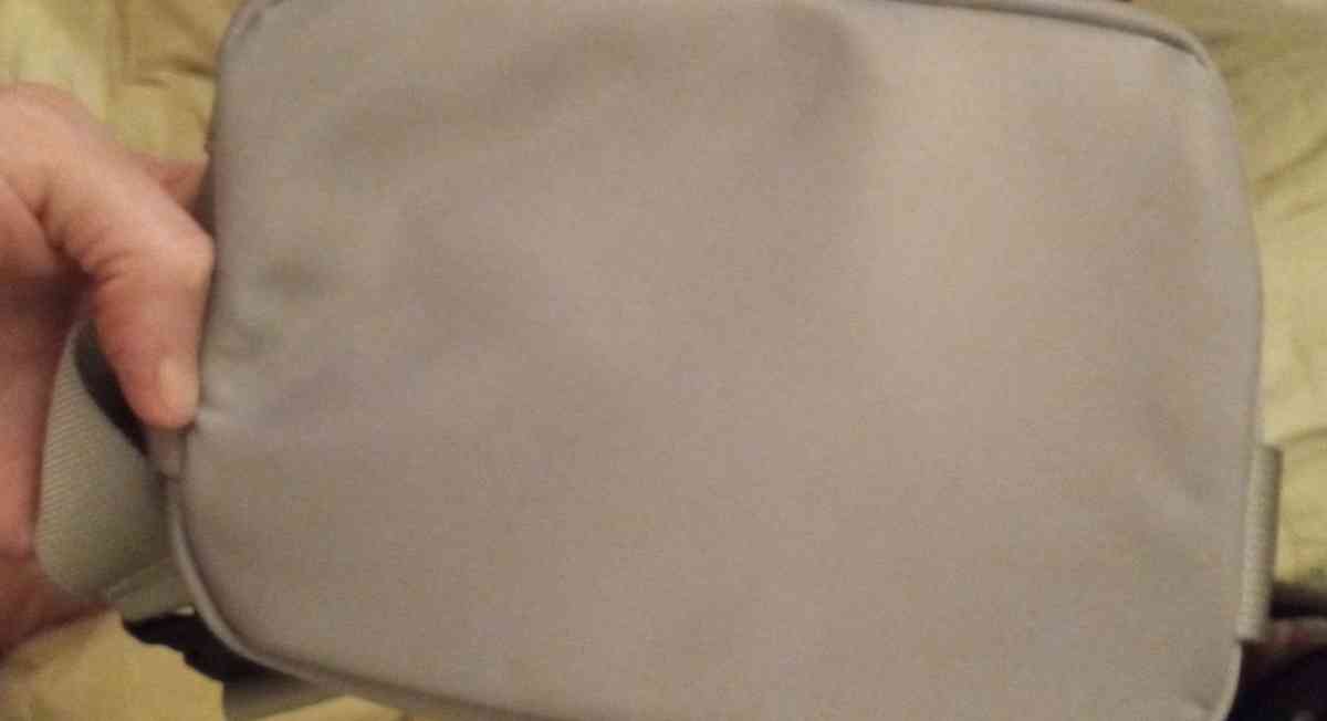 Metallic Fanny Pack - Palatine, Illinois - FleaMarketBay