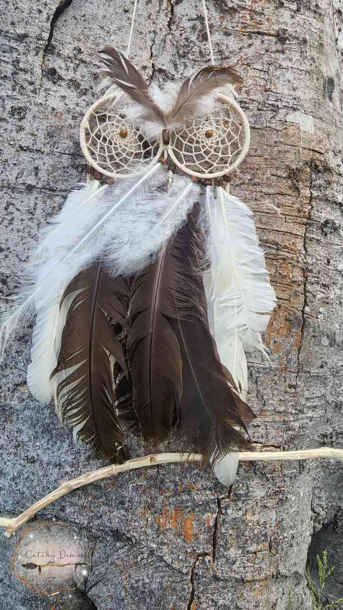 Angry Owl Dream Catcher - Alamo, Texas - FleaMarketBay