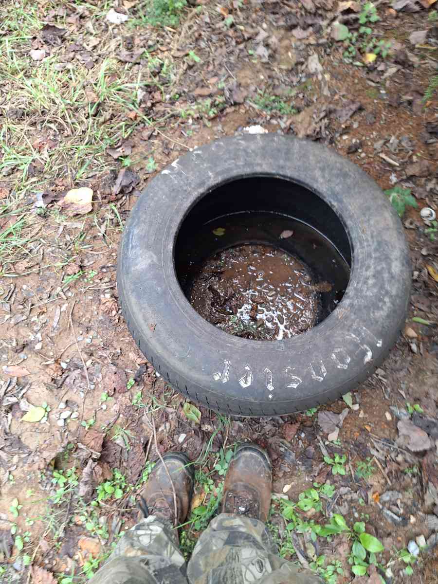 rasing tares - Alicia, Arkansas