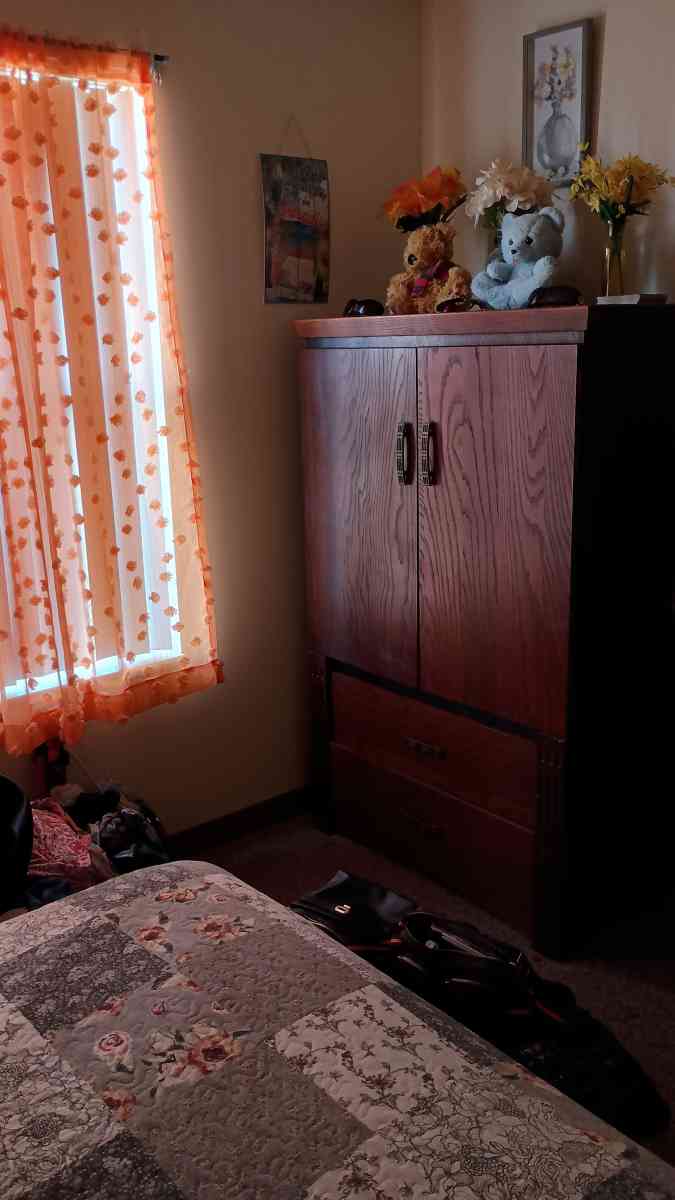 Chest Armoire - Zion, Illinois - FleaMarketBay