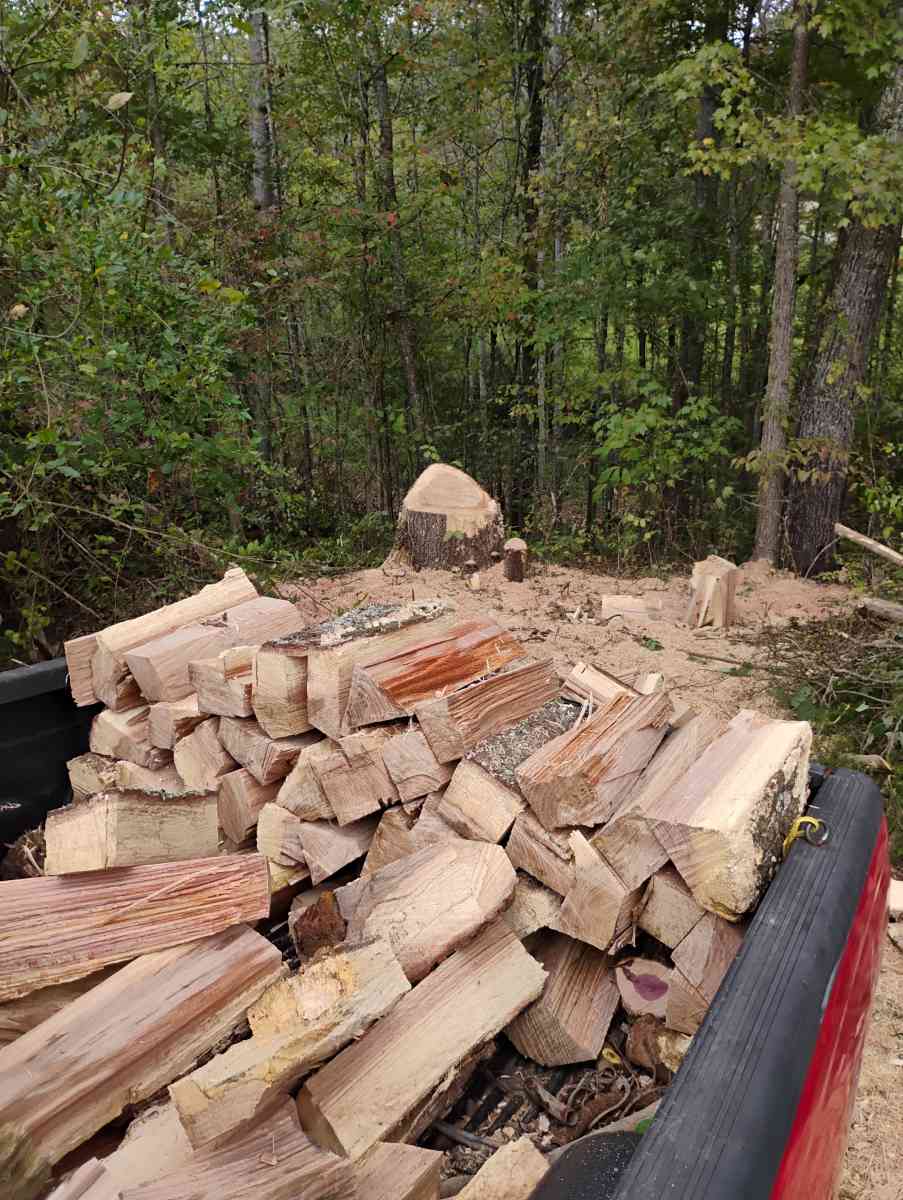 seasonal firewood hickory and oak - Andersonville, Tennessee - FleaMarketBay