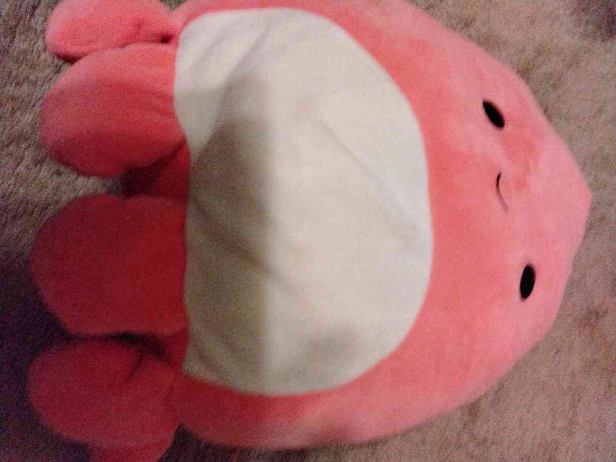 Squishmallows - East Wenatchee, Washington - FleaMarketBay