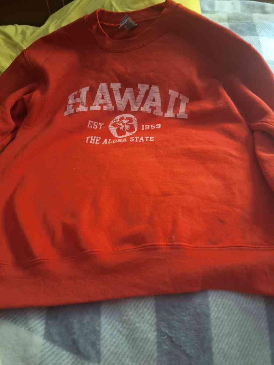 Ladies sweatshirt pullover