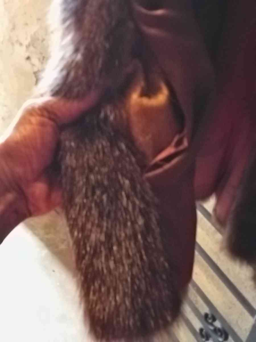 Vintage Russian Sable Fur - Philadelphia, Pennsylvania - FleaMarketBay