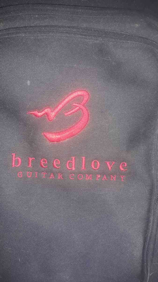 breedlove A25 Acoustic Guitar - Roswell, Georgia - FleaMarketBay