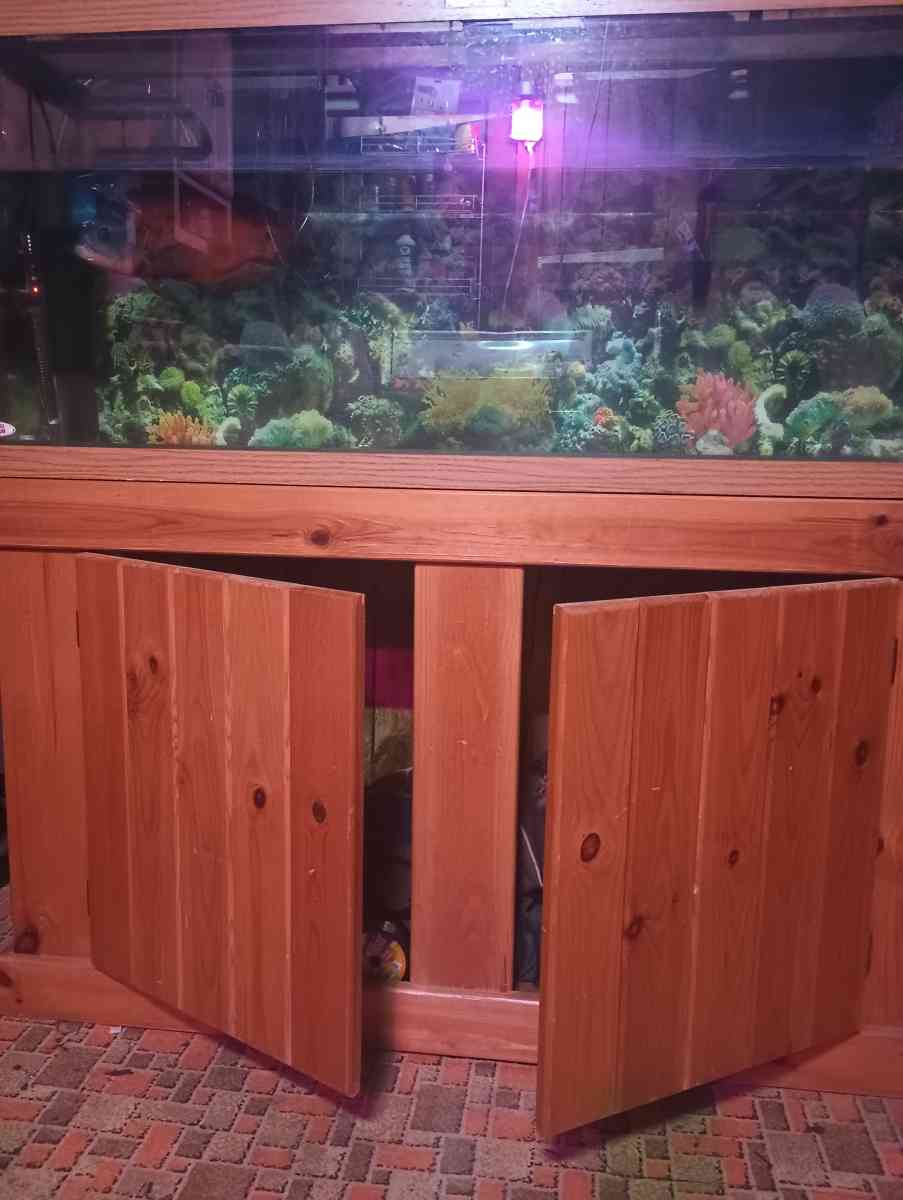 75 gallon fish tank with stand and fish - Kingsport, Tennessee - FleaMarketBay