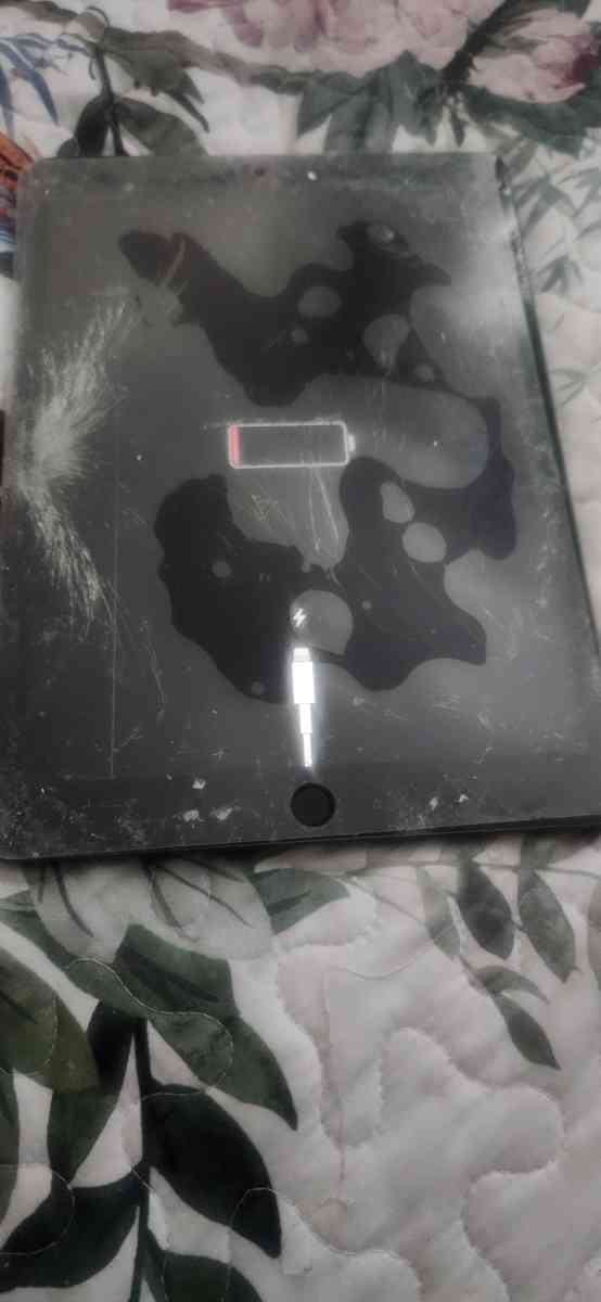 ipad still working - San Lorenzo, California