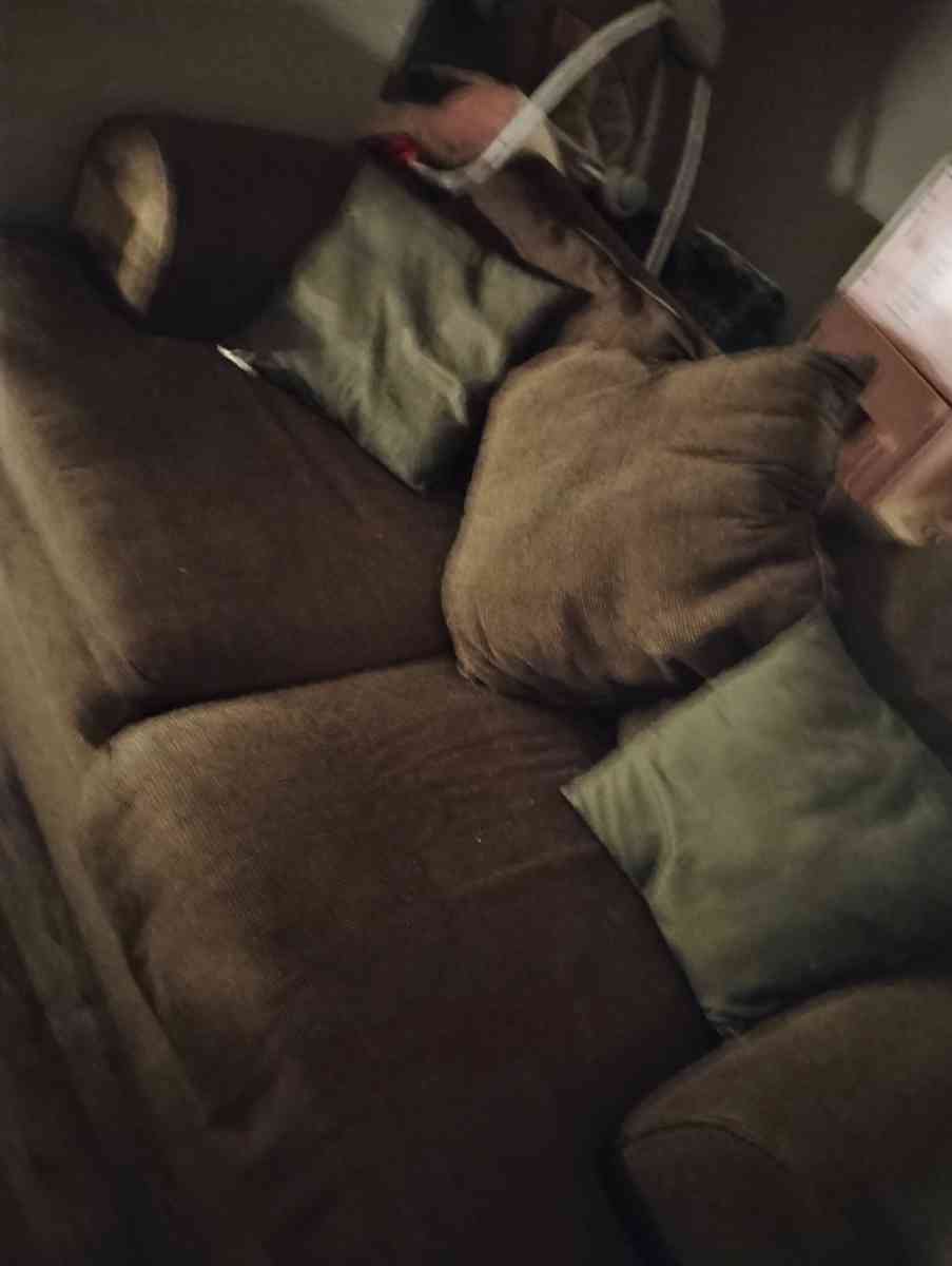 loveseat - Fort Wayne, Indiana - FleaMarketBay