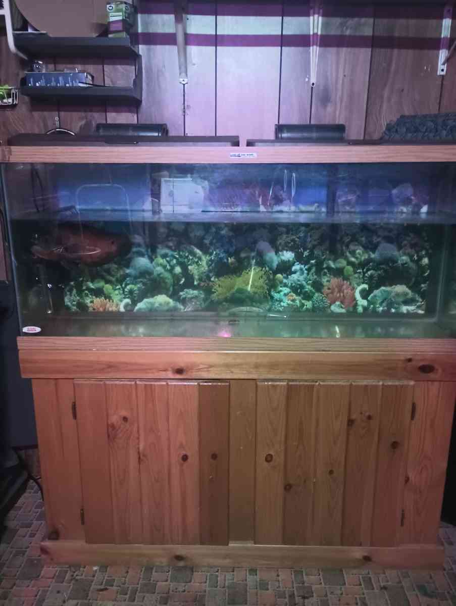 75 gallon fish tank with stand and fish - Kingsport, Tennessee - FleaMarketBay