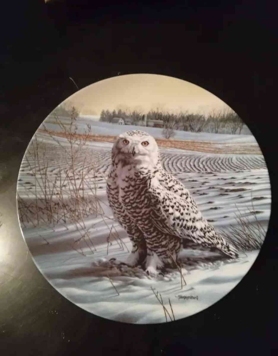 4 Vintage Collectable Plates - Colorado Springs, Colorado - FleaMarketBay