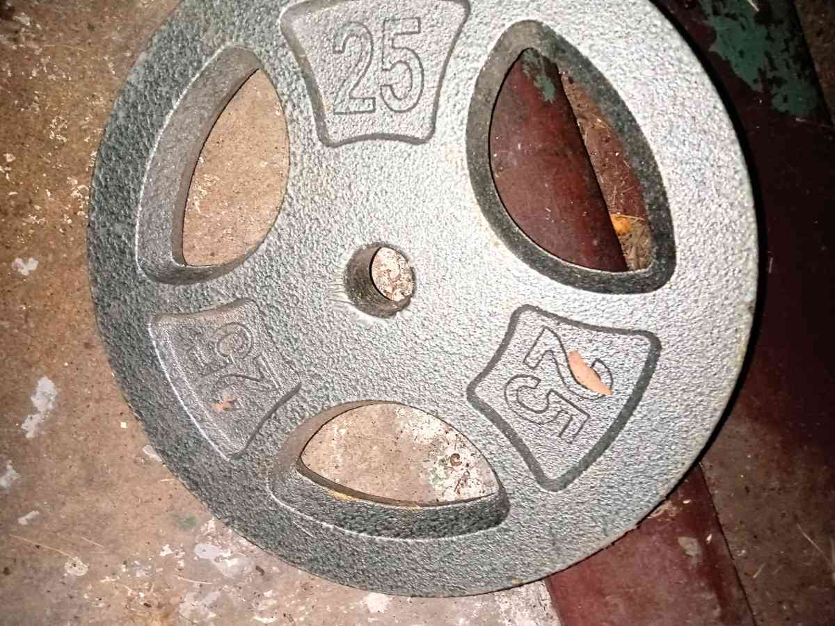 two standard 25 lb weight plates - Dayton, Ohio - FleaMarketBay