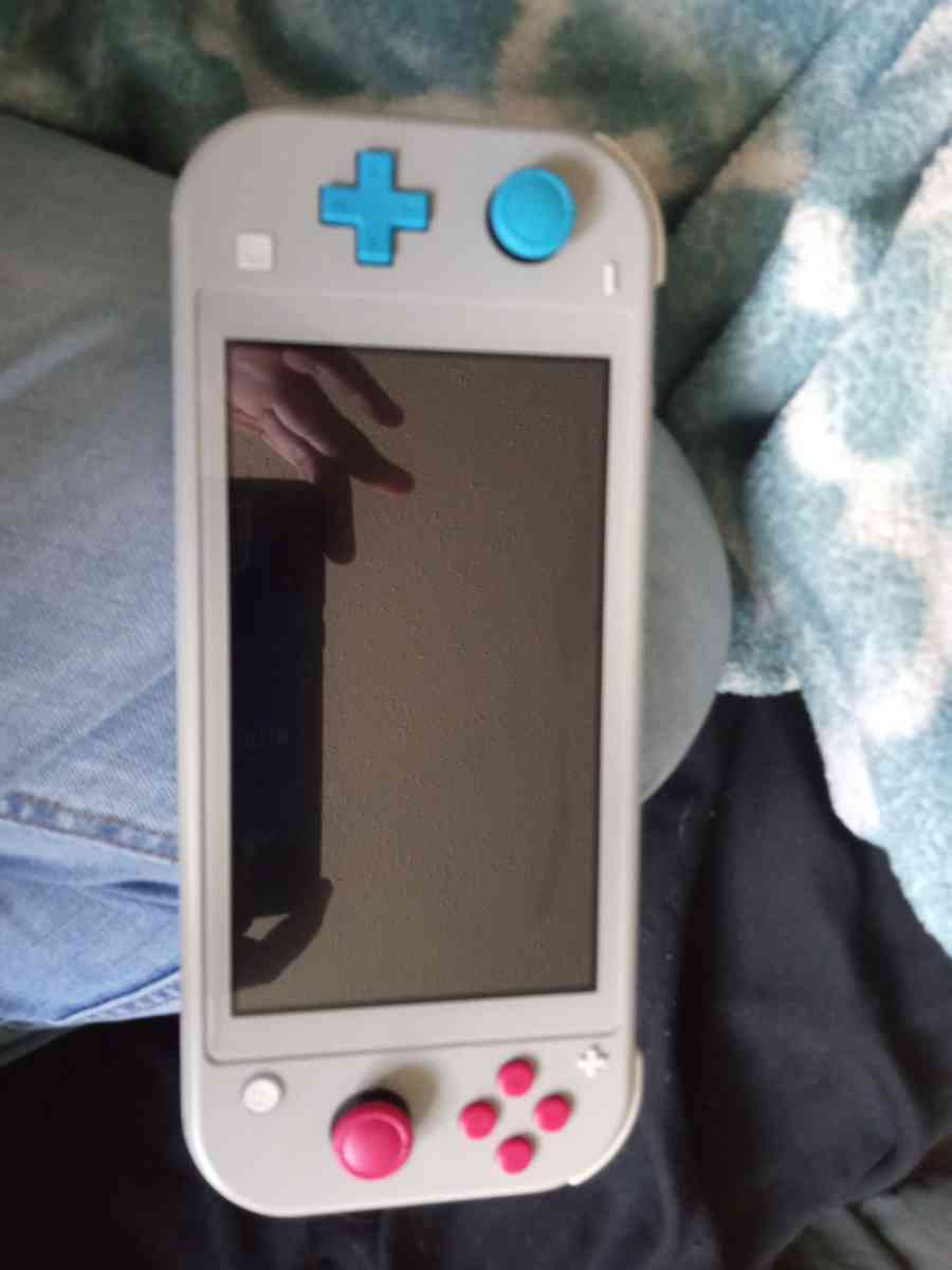 sword and shield Nintendo switch lite - Mentor, Ohio - FleaMarketBay
