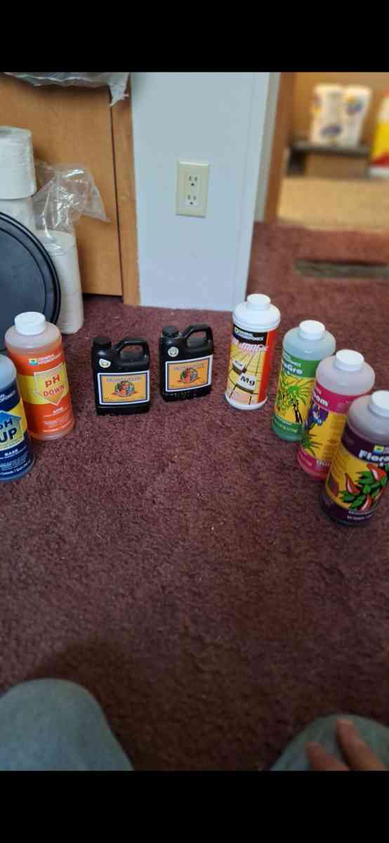 grow text and Supplies and More - Alicia, Arkansas - FleaMarketBay