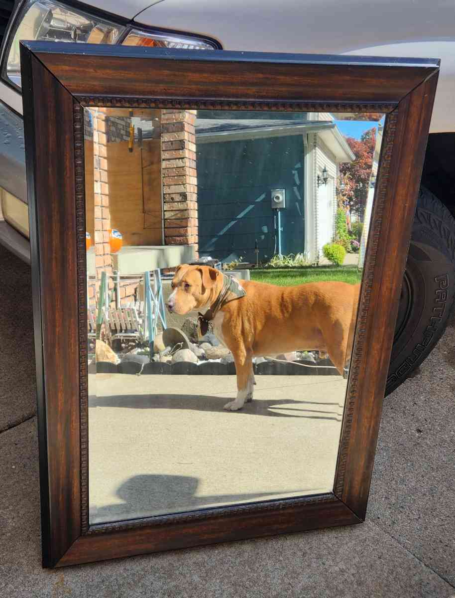 Large framed mirror - Buffalo, New York