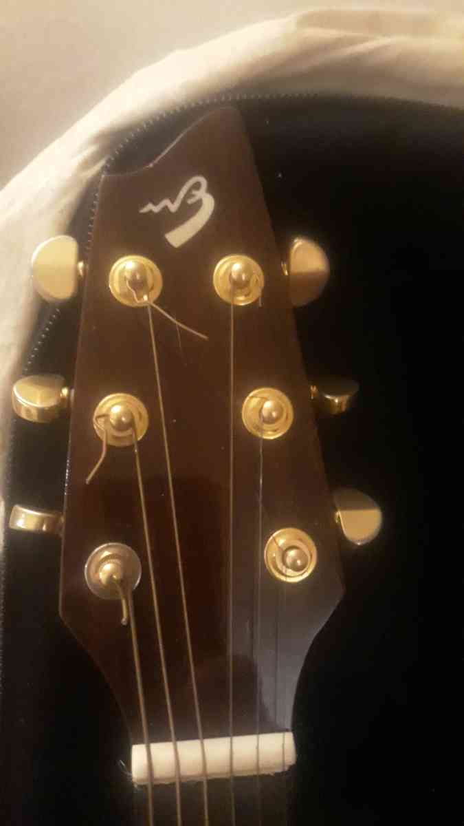 breedlove A25 Acoustic Guitar - Roswell, Georgia - FleaMarketBay