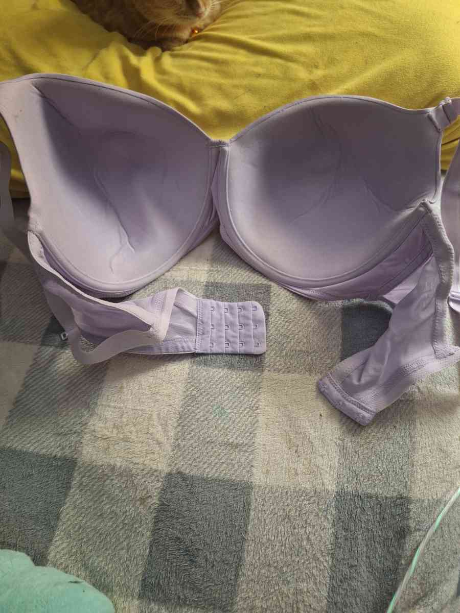 Lightly padded bra - Berwick, Pennsylvania - FleaMarketBay