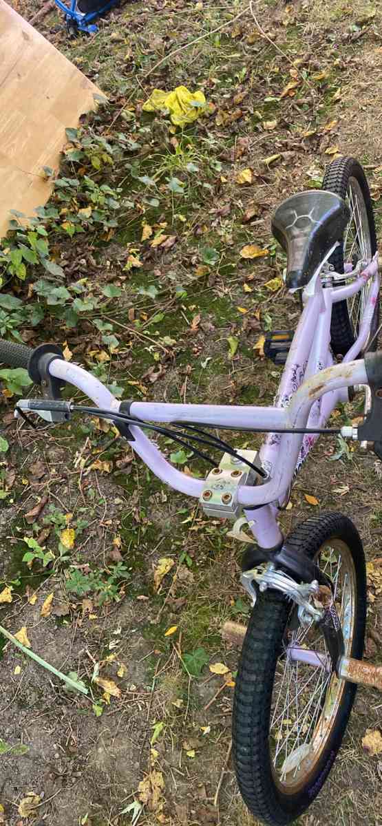 girls bike - Flint, Michigan