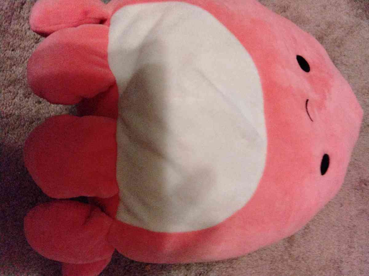 Squishmallows - East Wenatchee, Washington - FleaMarketBay