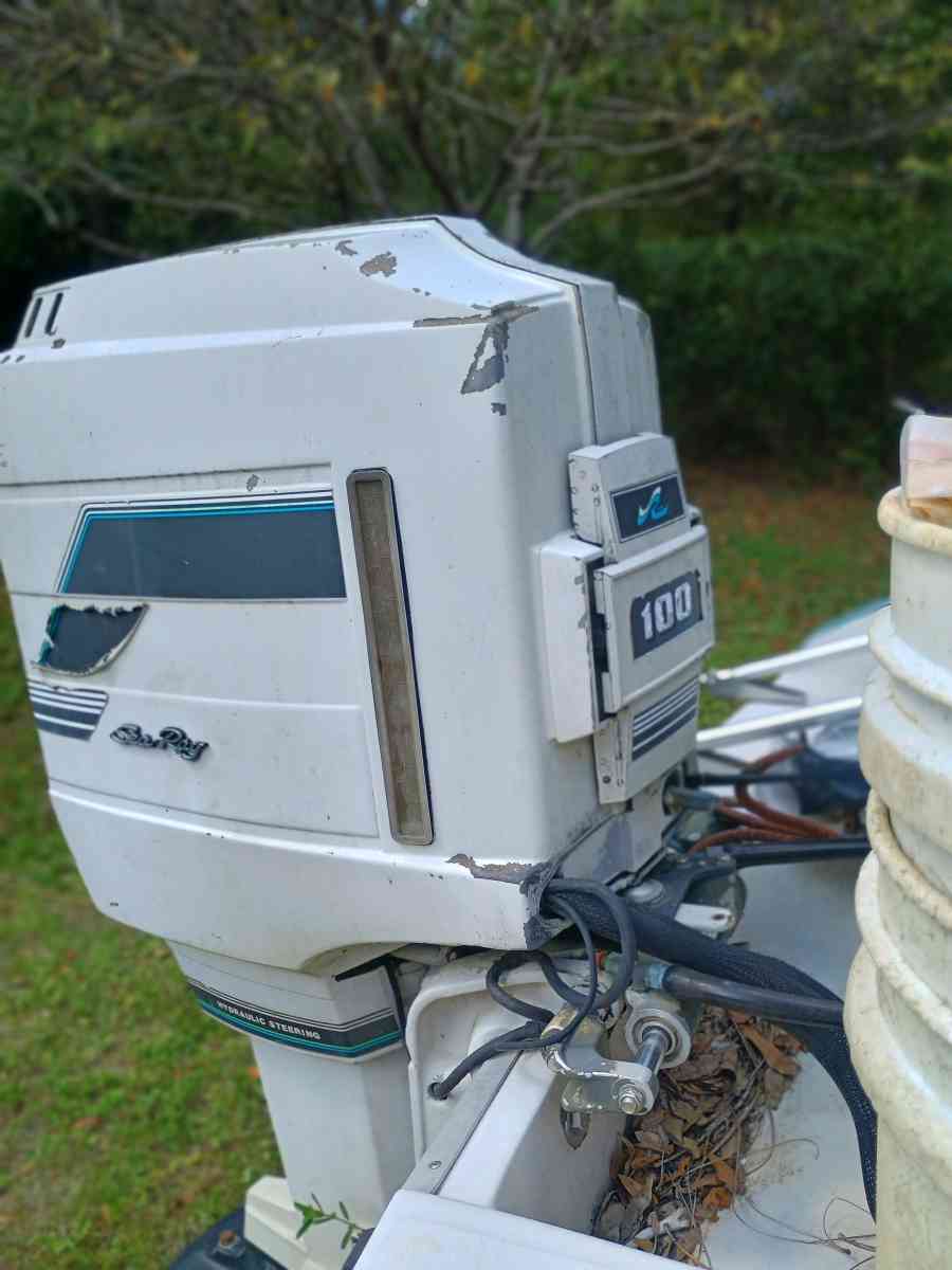 searay with mercury 100hp outboard motor