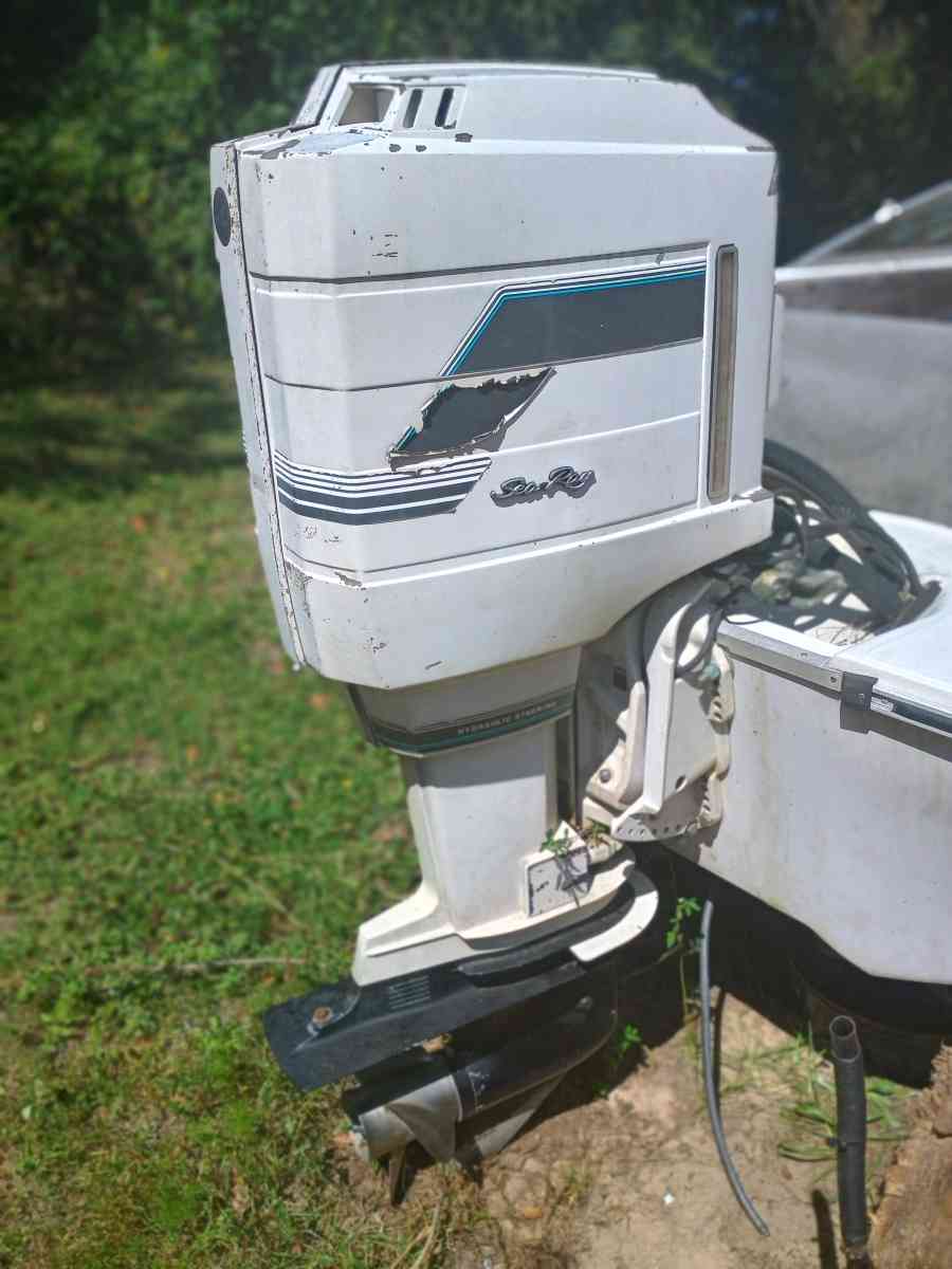 searay with mercury 100hp outboard motor - Citronelle, Alabama - FleaMarketBay