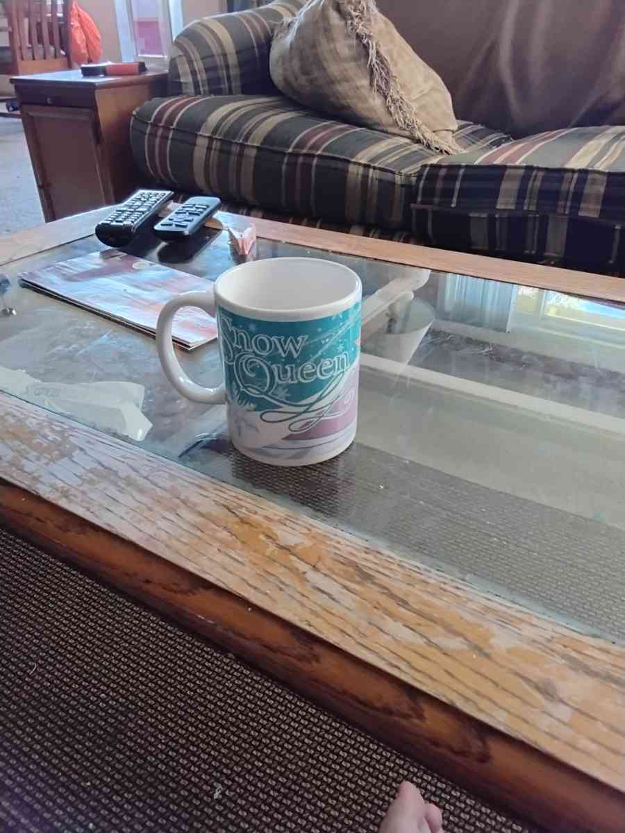 Disney Frozen mug - East Wenatchee, Washington