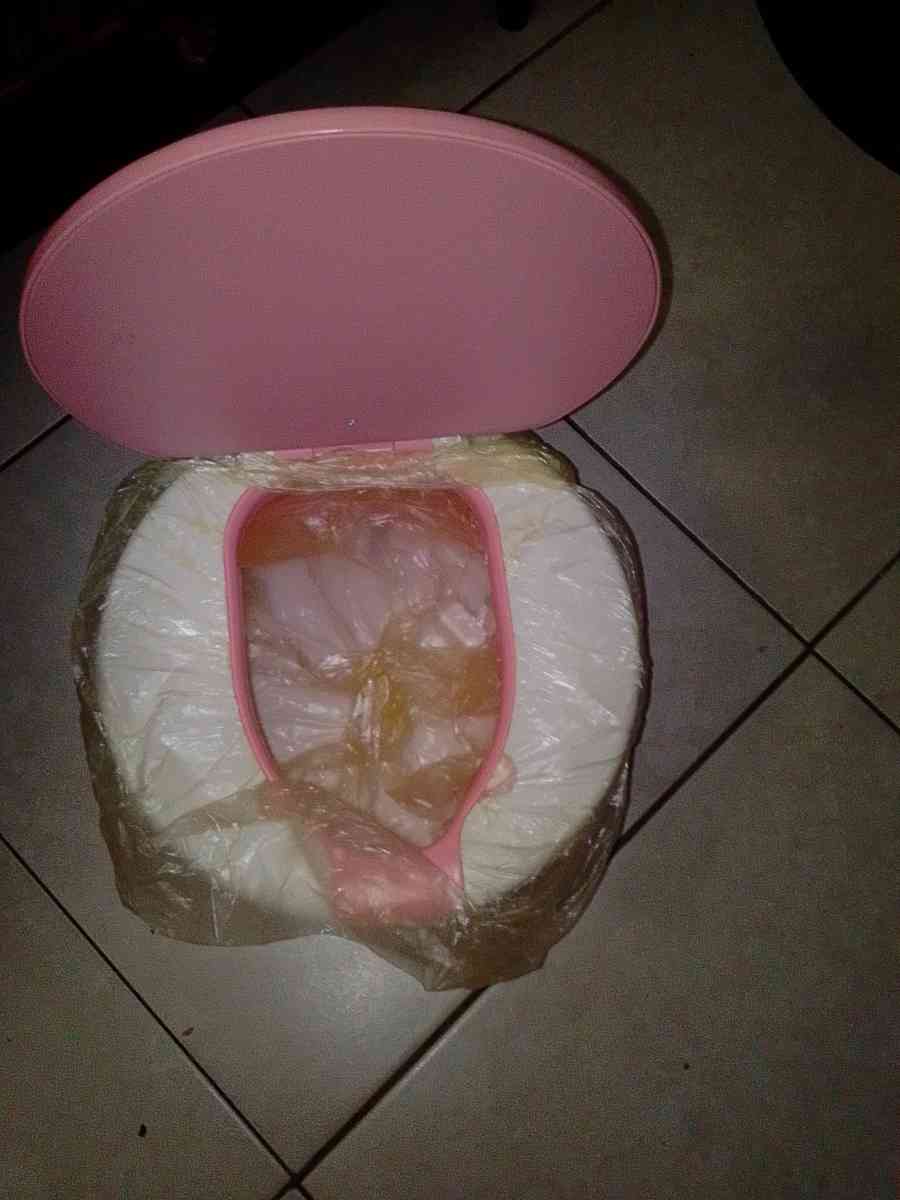 Baby potty training seat - Fort Lauderdale, Florida