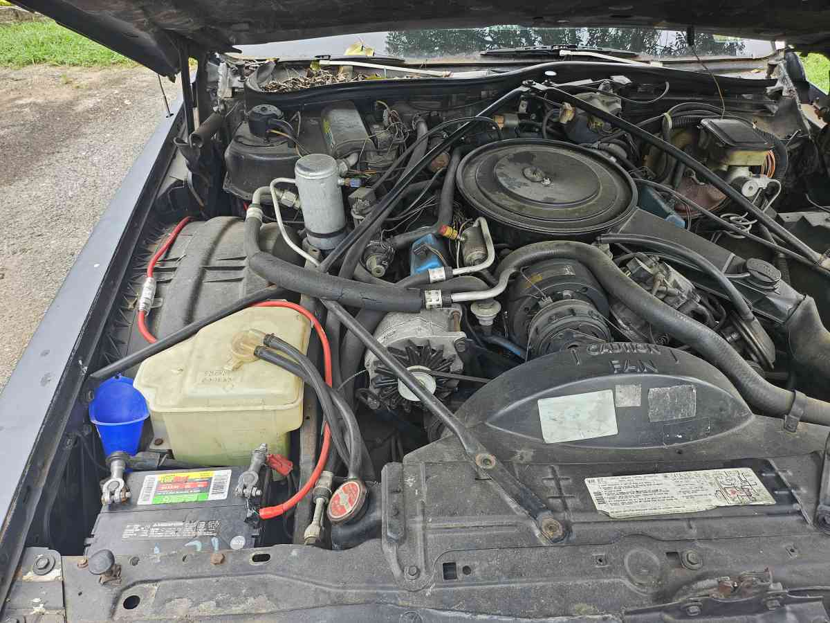 cadillac couple deville - Antioch, Tennessee - FleaMarketBay
