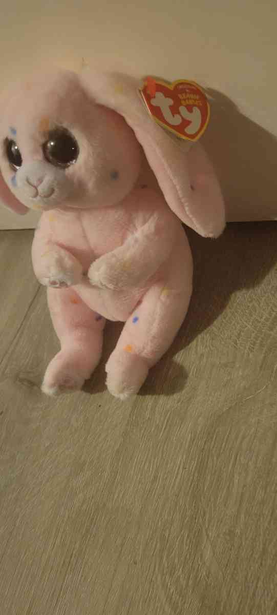 The Beanie Babies Collection Bellies easter may rabbit MINT - Cleveland, Ohio - FleaMarketBay