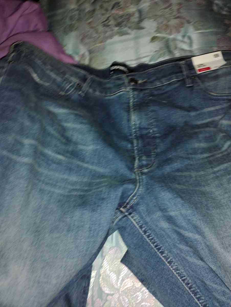 brand new never worn Express jeans size 18R - Berne, New York