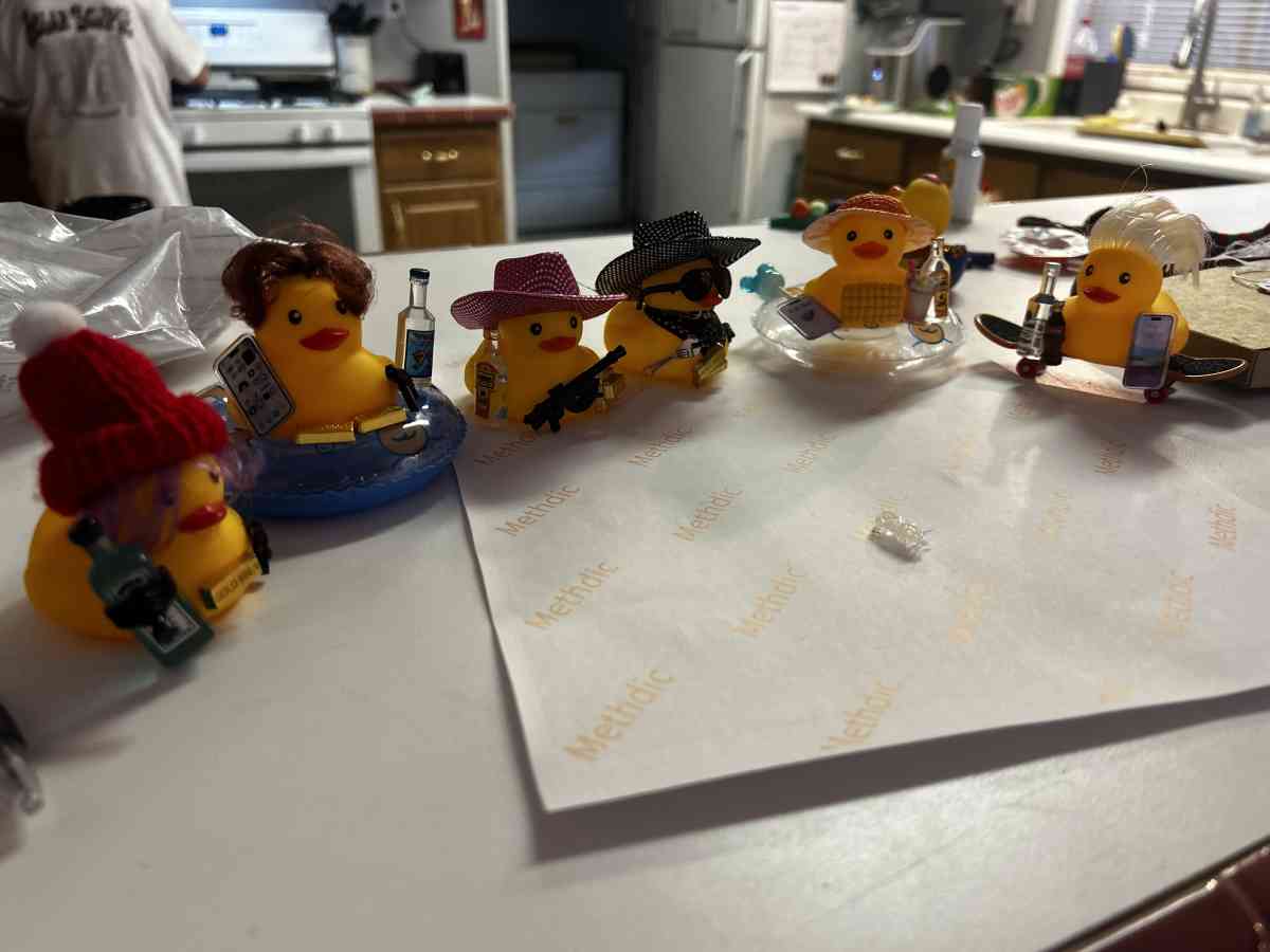 Jeepcrusing ducks - Casa Grande, Arizona - FleaMarketBay