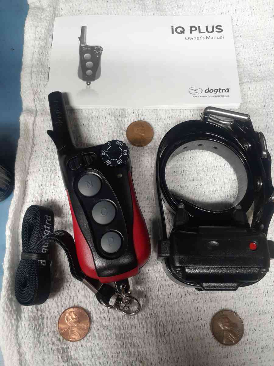 Doggy dog training aid - Santee, California - FleaMarketBay