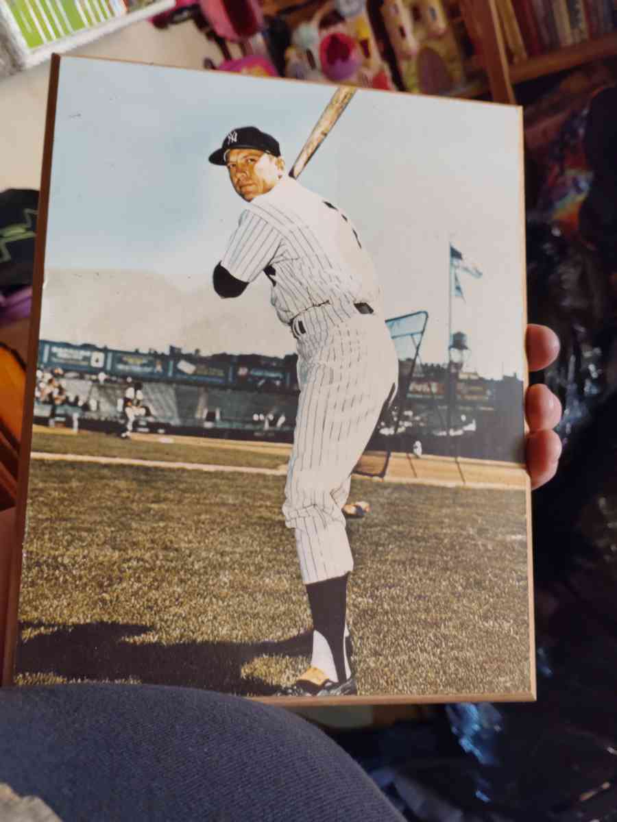 mickey mantle baseball Memorabilia