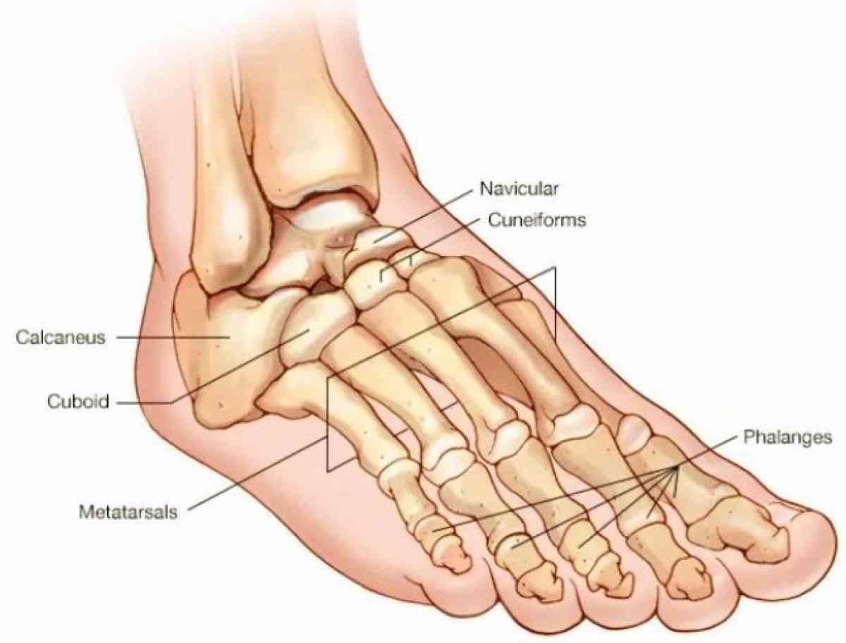 sobador masajista Edgar a domicilio - Los Angeles, California - FleaMarketBay