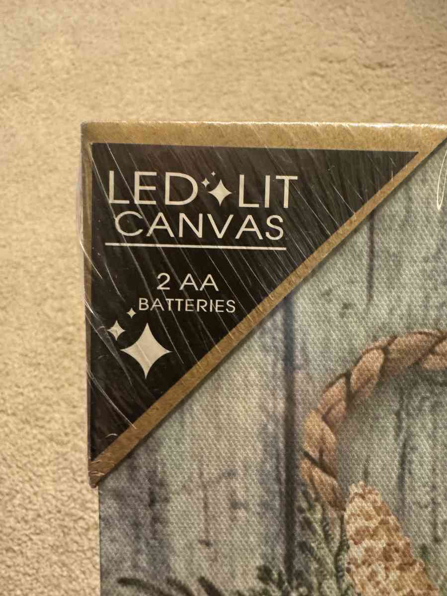 2008HTS BeachCoastal Christmas Lifesaver AA Battery Light Up - Gallatin, Tennessee - FleaMarketBay