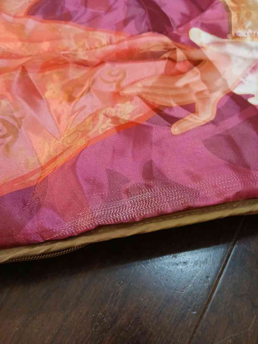Princess Aurora sleeping bag - Indianapolis, Indiana - FleaMarketBay