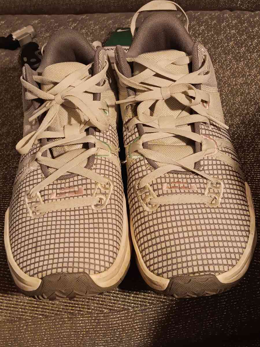 LeBron basketball shoes - Lexington, South Carolina - FleaMarketBay