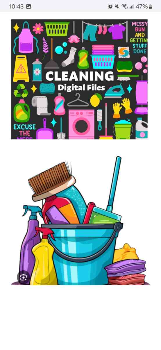 house cleaning  and junk removal - San Antonio, Texas