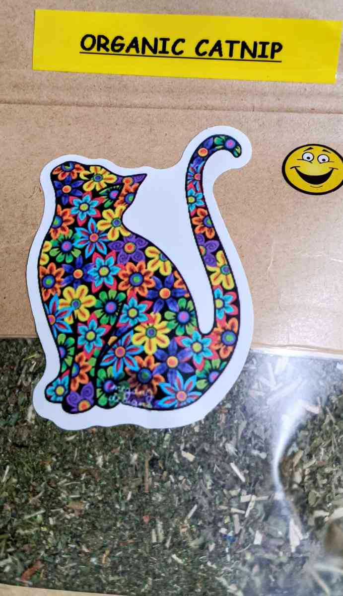 Christmas SALE Organic Catnip - Akron, Ohio