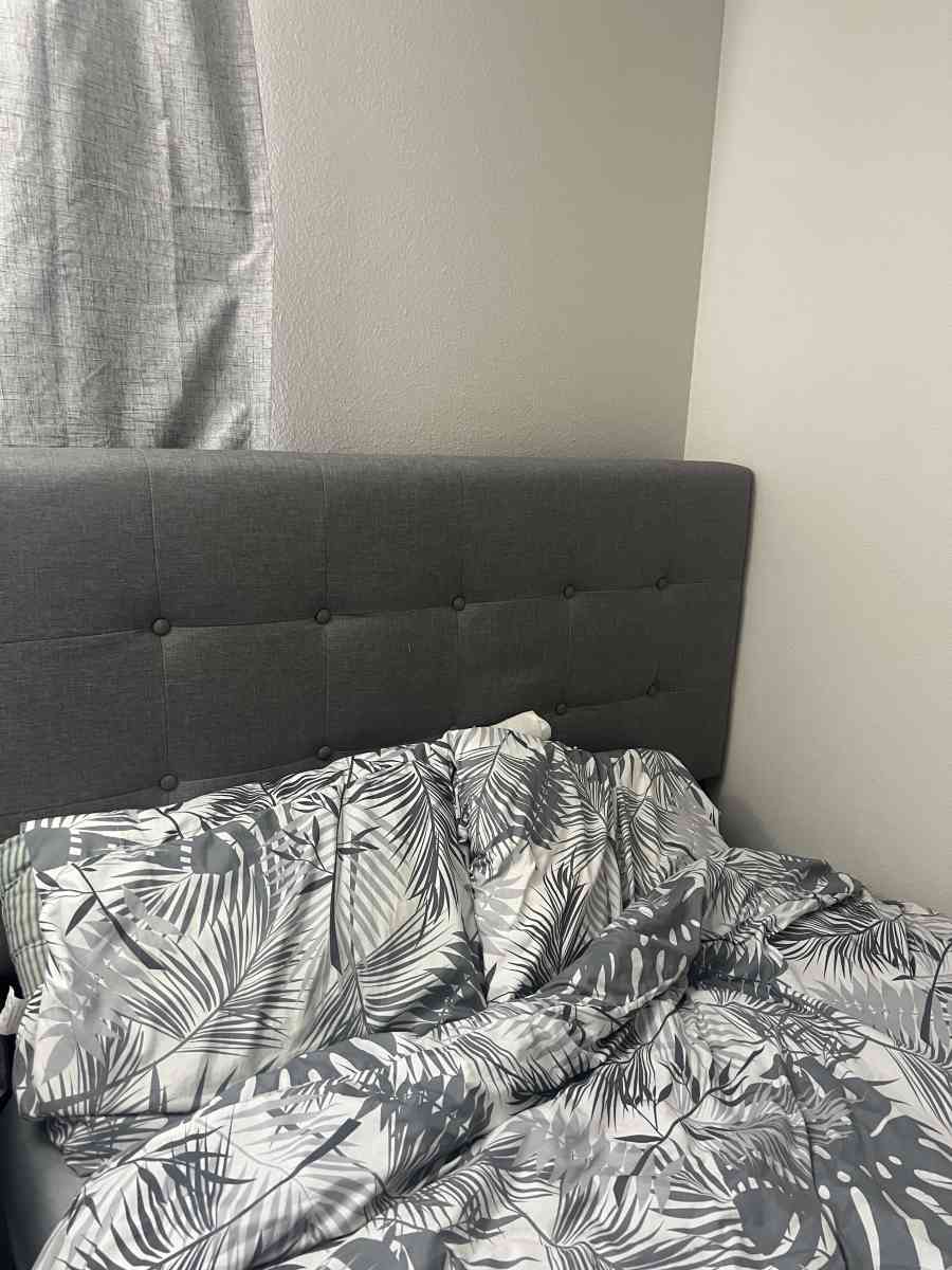 bed frame - Colorado Springs, Colorado - FleaMarketBay