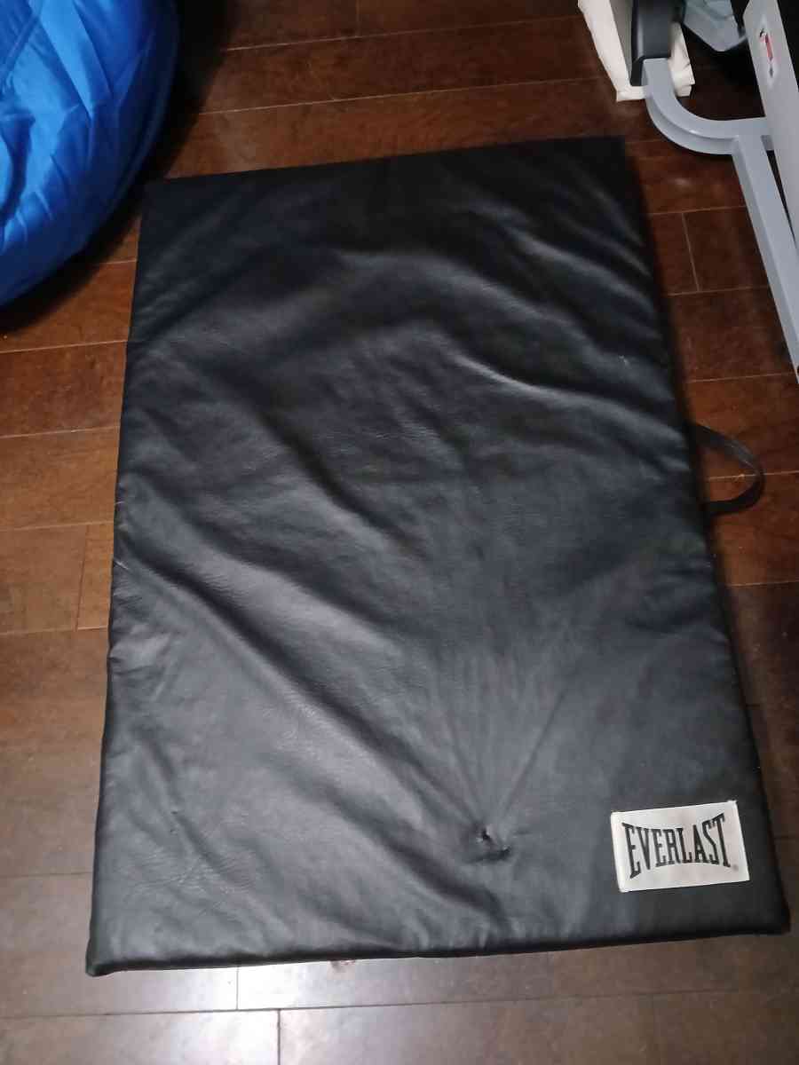 Everlast exercise mat - Indianapolis, Indiana