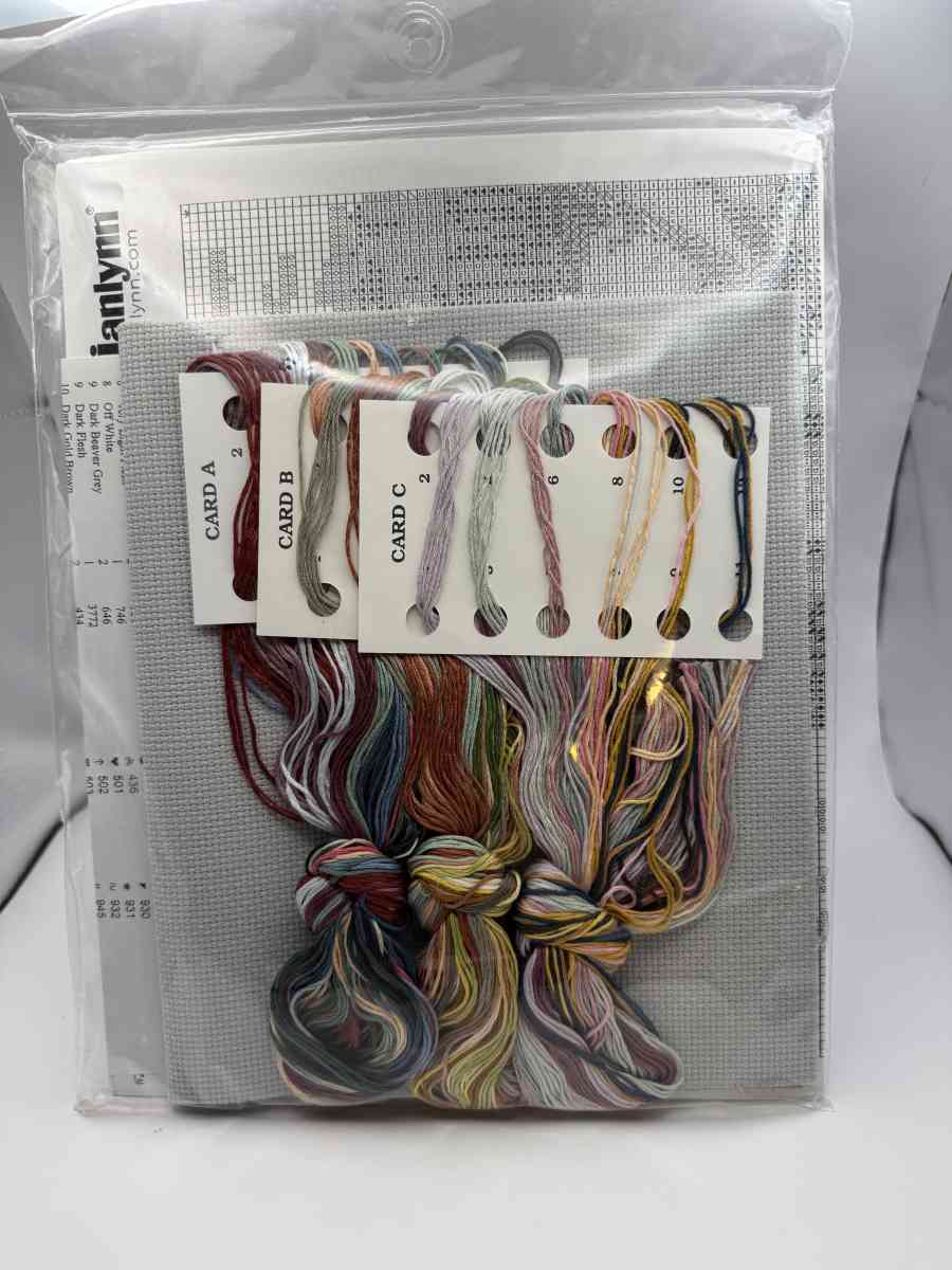 1048PSS Janlynn 21128  Best Friends  Counted Cross Stitch - Gallatin, Tennessee - FleaMarketBay