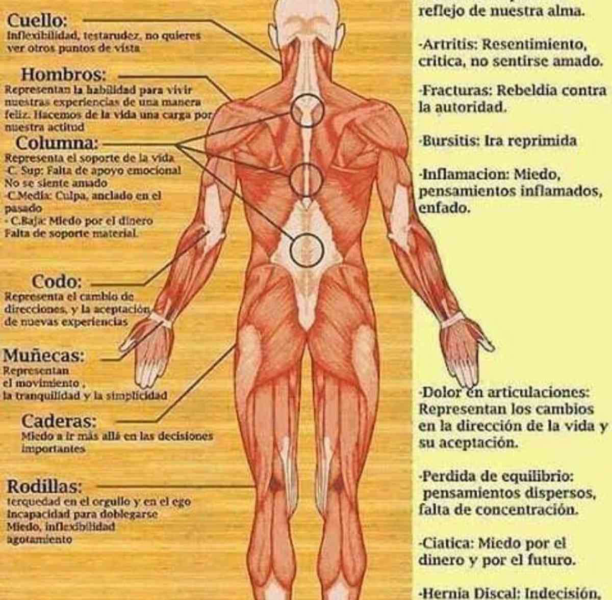 sobador masajista Edgar a domicilio - Los Angeles, California - FleaMarketBay