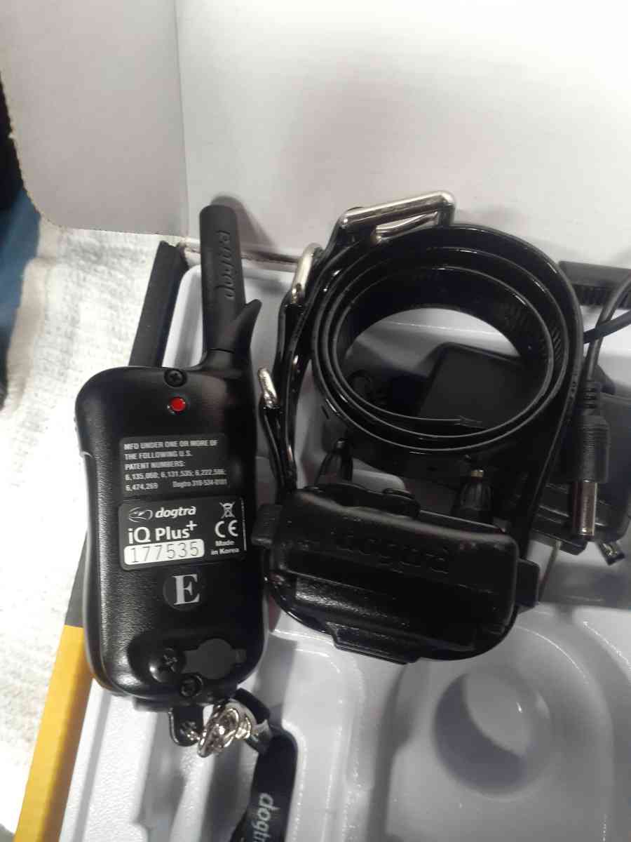 Doggy dog training aid - Santee, California - FleaMarketBay